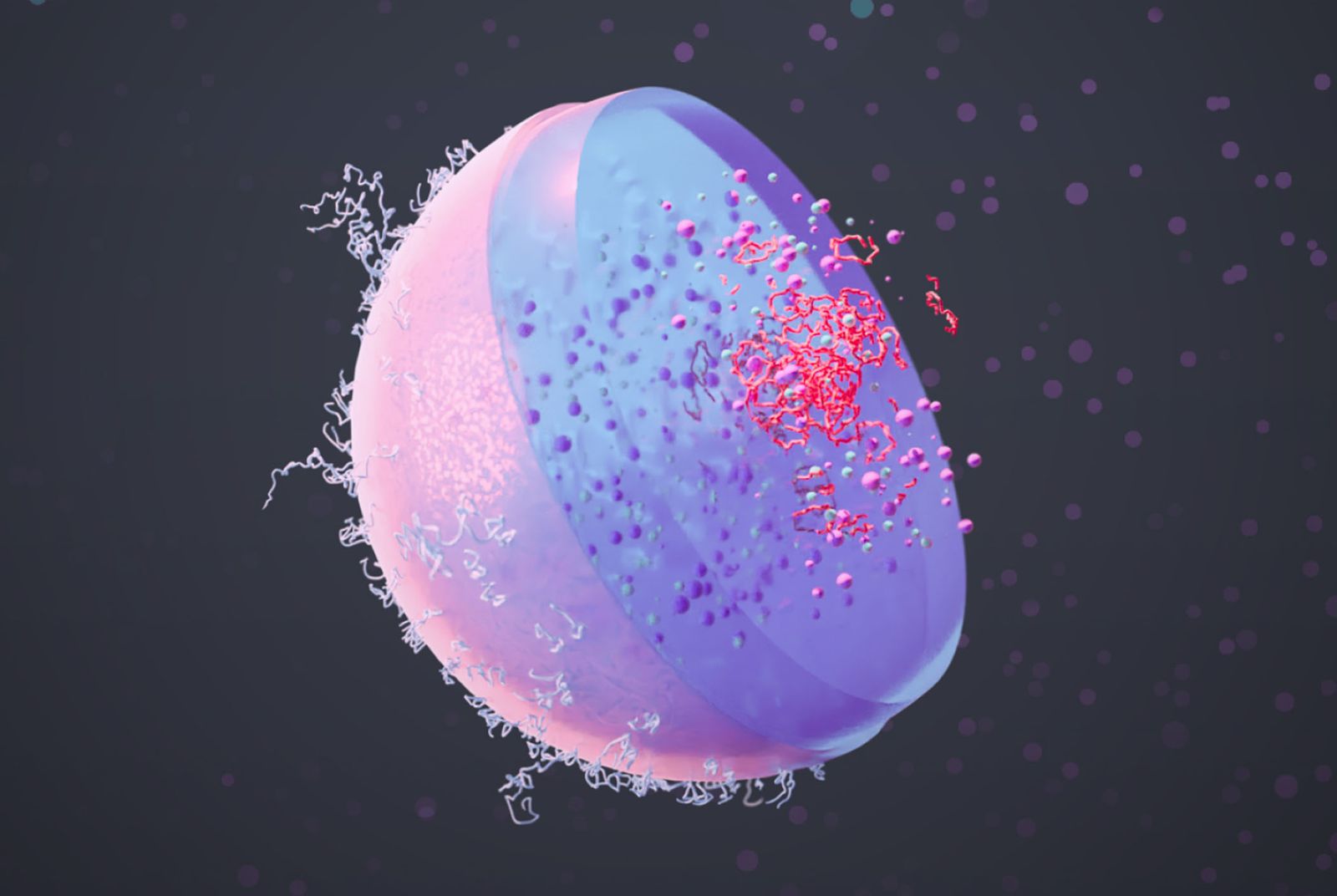 Blink Beads: Introducing next generation bio-analysis