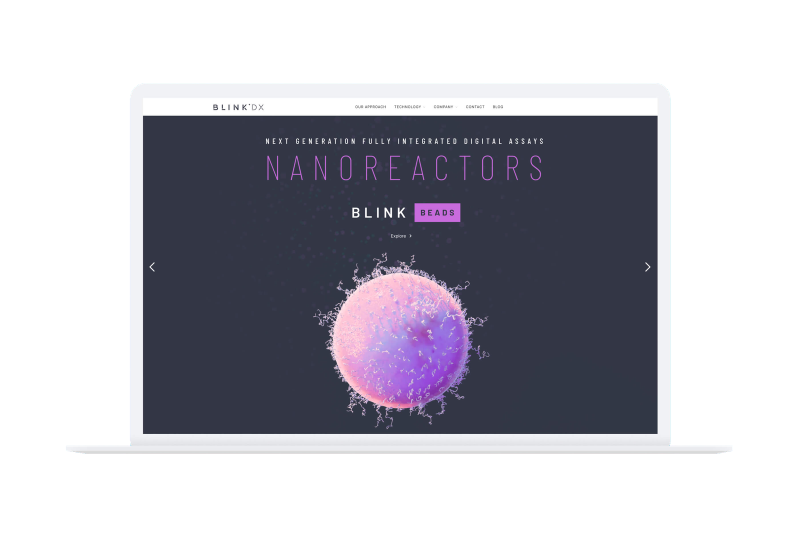 The Blink DX website on a laptop